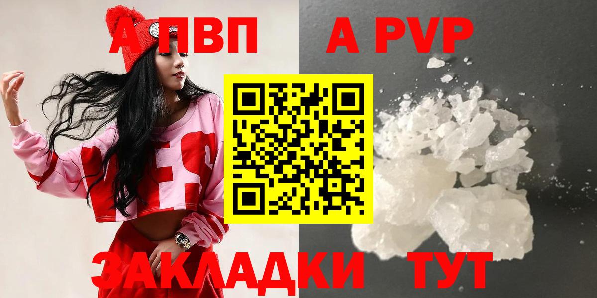 Альфа ПВП СК Шебекино