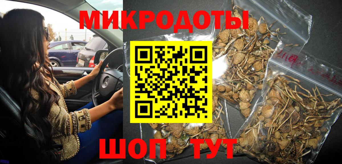 Галлюциногенные грибы Cubensis Шебекино